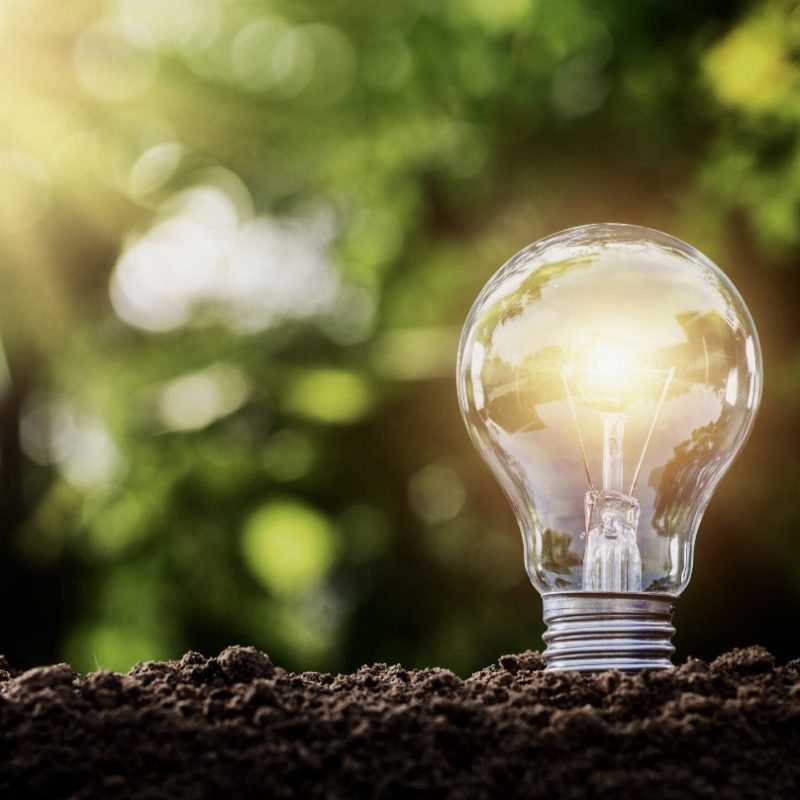 Bulb