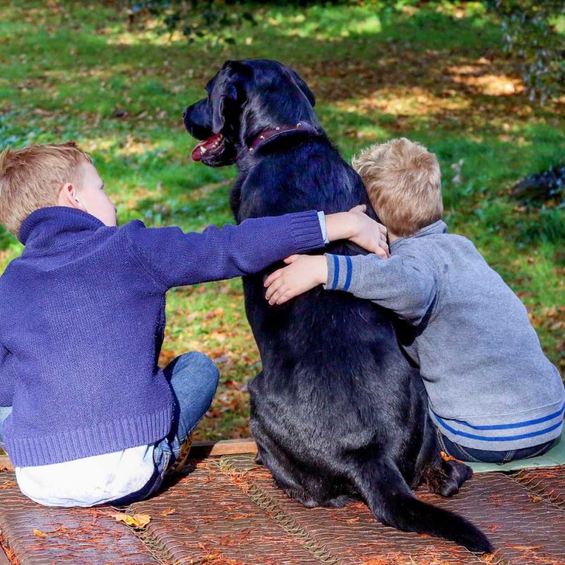 DogandKids
