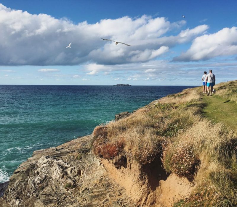 berry head nature reserve