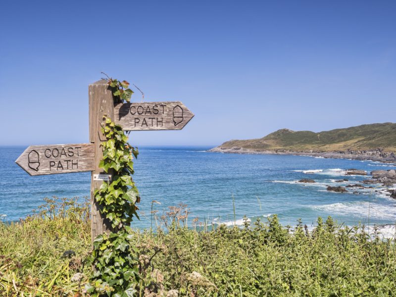 Ivy covered sign on the South West Coast Path above Barrican Beach.