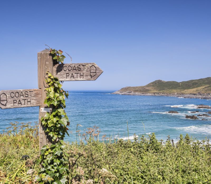 Ivy covered sign on the South West Coast Path above Barrican Beach.