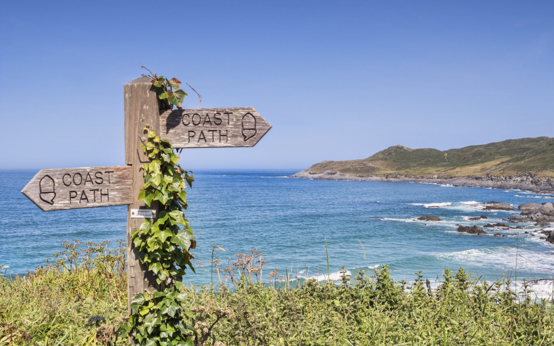 Ivy covered sign on the South West Coast Path above Barrican Beach.